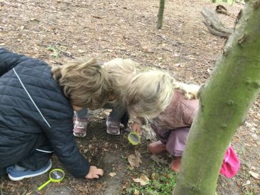 Børn der finder insekter